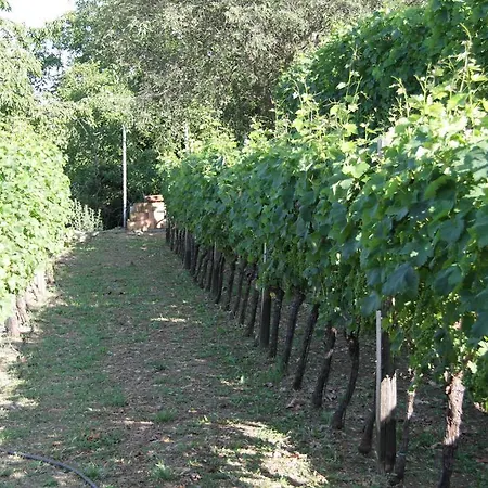 乡村民宿 Country House Buk Vinarija