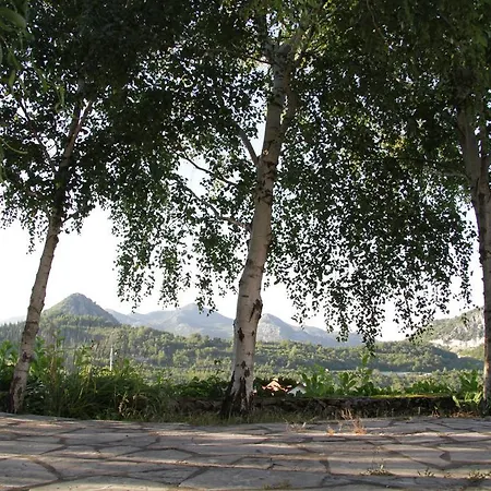 Landhuis Country House Buk Vinarija