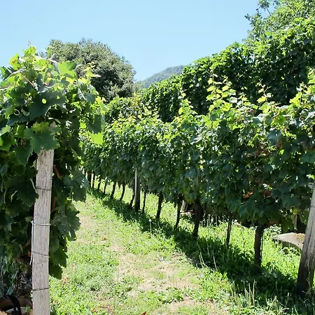 Country House Buk Vinarija Landhuis Podgorica